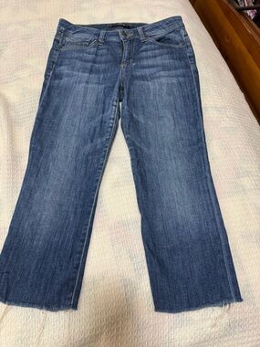 Women's Joe’s Blue Straight-Leg Jeans Size 27 Raw hem crop